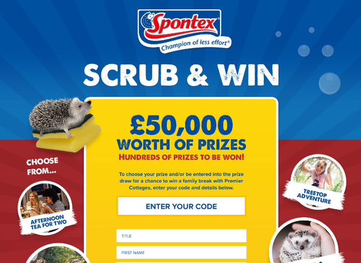 Spontex Scrub & Win